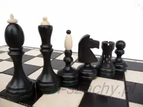შავი და ღია ტურნირული ფიგურები